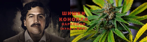 ПСИЛОЦИБИНОВЫЕ ГРИБЫ Пролетарск