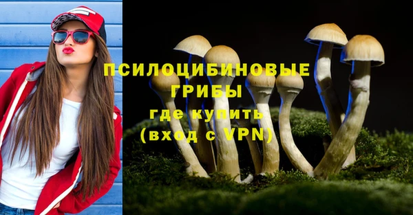 ПСИЛОЦИБИНОВЫЕ ГРИБЫ Пролетарск