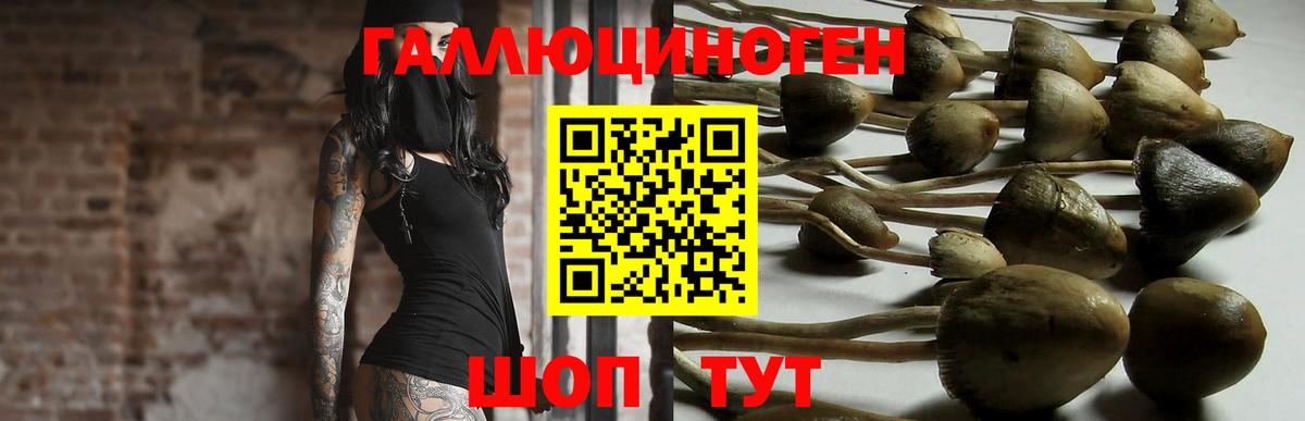 Псилоцибиновые грибы мухоморы Шарыпово